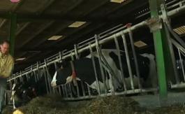 Le suicide des agriculteurs multiplié par trois en 2016
