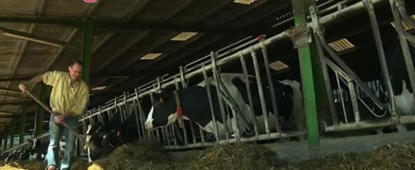 Le suicide des agriculteurs multiplié par trois en 2016
