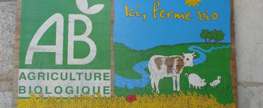 L’invraisemblable retard des aides aux agriculteurs bio