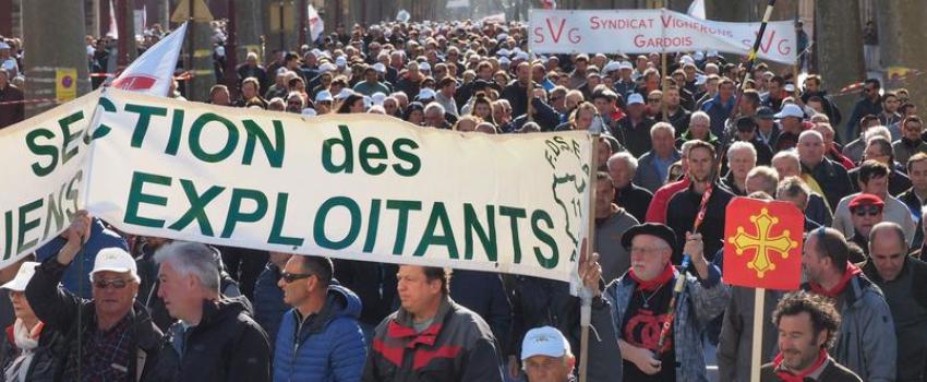 Les vignerons du Midi «jettent une grosse bouteille dans la campagne»