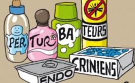La France capitule sur les perturbateurs endocriniens