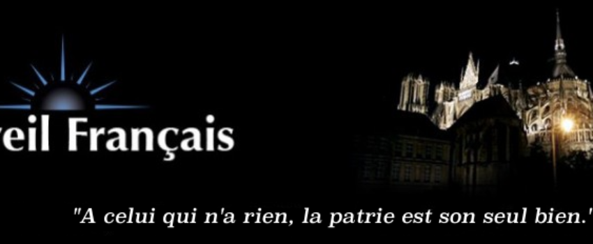 L’immigration massive est elle encore pertinente?