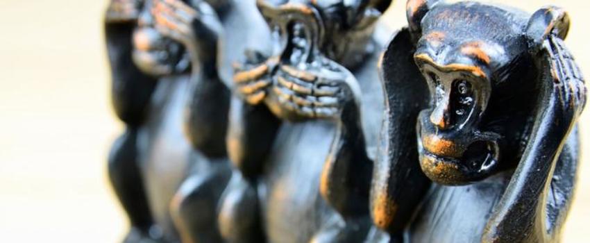 Une «culture du viol» chez les chiens ? La gauche identitaire au piège de ses propres obsessions