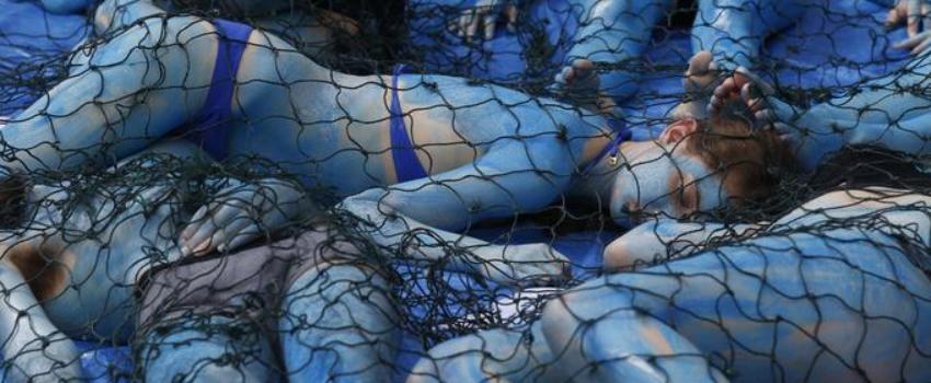 Derrière le militantisme végan, la puissante idéologie antispéciste