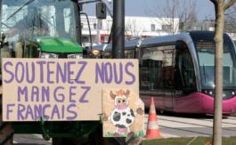 Accord UE-Mercosur : « On se retrouve avec une concurrence déloyale », dénonce un vice-président des Jeunes agriculteurs