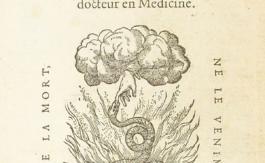 Coronavirus : les moutons de Panurge
