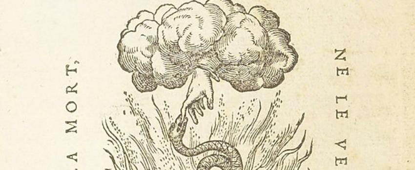 Coronavirus : les moutons de Panurge