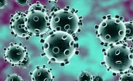 De quoi le Coronavirus est-il le nom ?