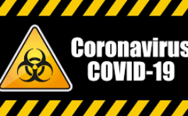 Merveilleux Coronavirus (suite)