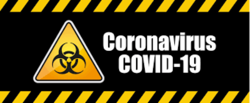 Merveilleux Coronavirus (suite)