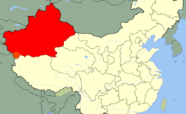 Que se passe-t-il au Xinjiang chinois ?