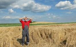 L’importance vitale de la souveraineté   alimentaire.