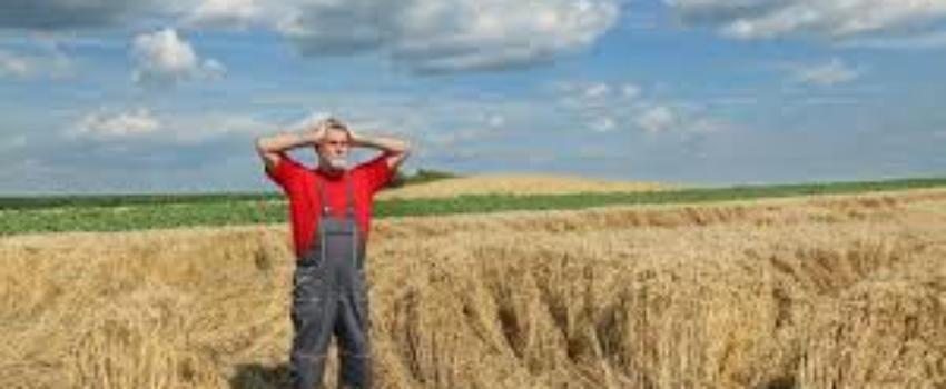 L’importance vitale de la souveraineté   alimentaire.