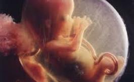 Sommes-nous devenus des monstres ?