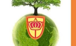 Le lys écologique