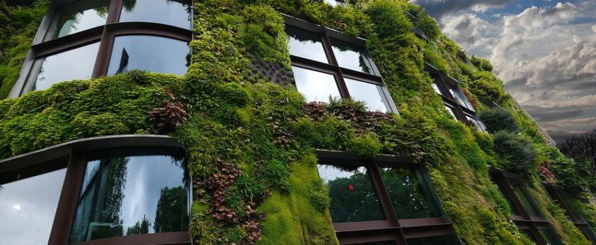 L’énigme écologique