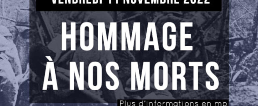 Pau : Hommage au 11 novembre