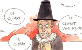 Le Conseil d’État lance un ultimatum au gouvernement sur le climat : l’étrange dérive