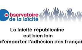 Balayons le défaitisme démocrate