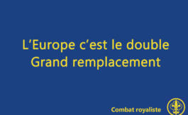 Combat royaliste 7