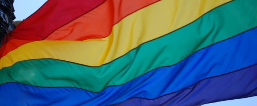 Marche des fiertés, lobby LGBT, désertion, Hongrie : quelle victime ?