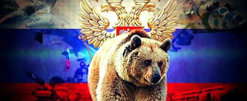 L’ours est bien réveillé !