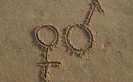 Le « gender » désavoué