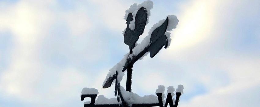 Climat électoral