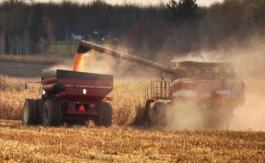 La menace d’une crise alimentaire liée à la guerre en Ukraine… et aux délires mondialistes