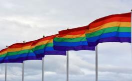 Propagande LGBT : un moyen efficace de faire baisser les ventes