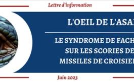 Le syndrome de Fachoda