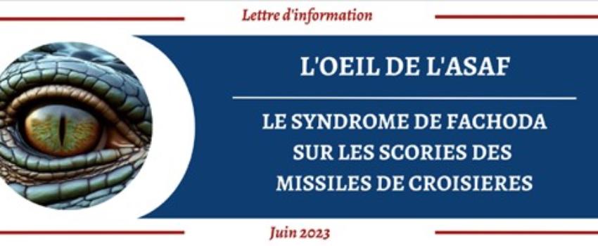 Le syndrome de Fachoda