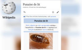 Punaises de lit, Lola, BV… Wikipédia, une encyclopédie idéologique