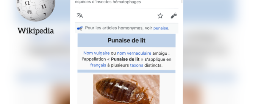 Punaises de lit, Lola, BV… Wikipédia, une encyclopédie idéologique