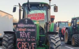 Paroles, paroles, paroles… et encore des paroles !