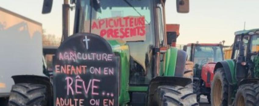 Paroles, paroles, paroles… et encore des paroles !