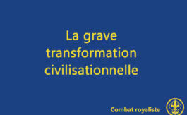 Combat royaliste 9
