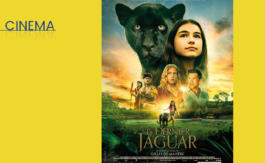 Critique cinéma