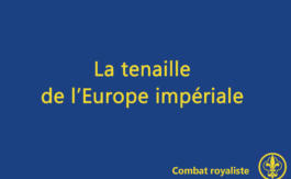 Combat royaliste 11