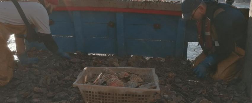 LA RÉVOLTE DES PÊCHEURS FRANÇAIS CONDAMNÉS À RESTER À QUAI