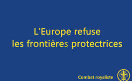 Combat royaliste 8