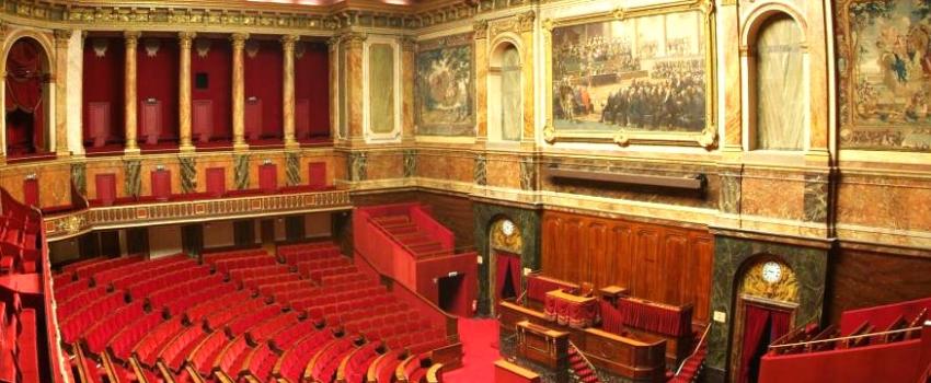 La constitutionnalisation, pour quoi faire ?