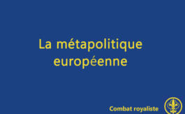 Combat royaliste 12