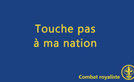 Combat royaliste 15