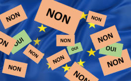 Pétition pour un référendum