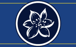 Les Éditions de Flore, c’est quoi ?