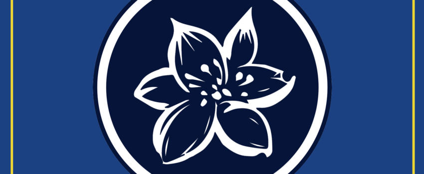 Les Éditions de Flore, c’est quoi ?