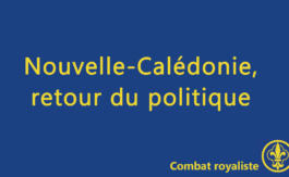 Combat royaliste 24