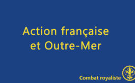 Combat royaliste 25