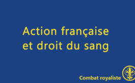 Combat royaliste 26